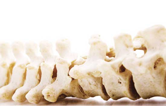 La vérité Chiropratique